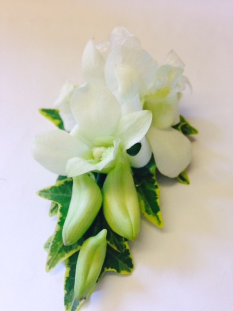 Dendrobium Orchid Corsage