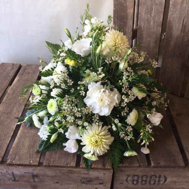 White Posy