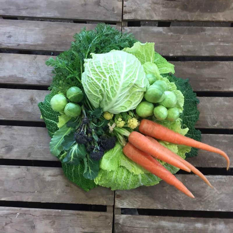 Allotment Posy Pad