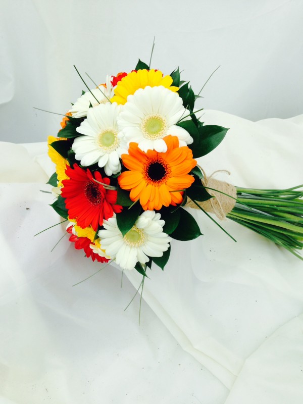 Multi - coloured Germini Wedding Package
