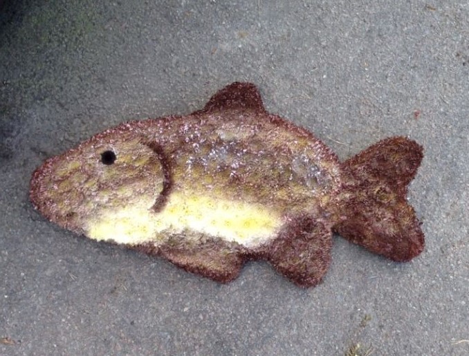 Brown Fish