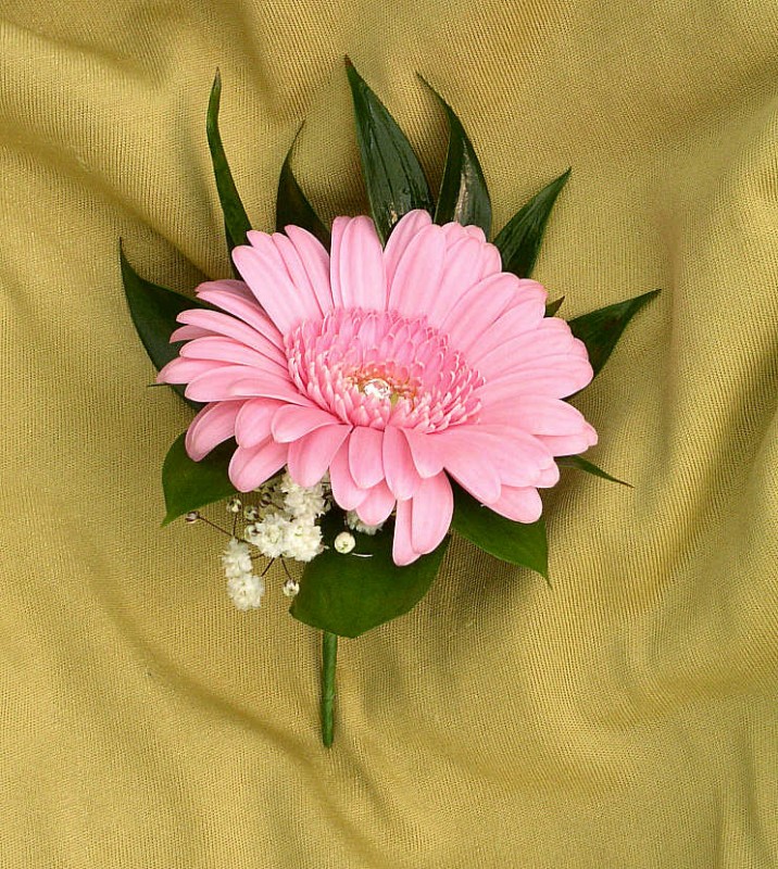 Ladies Germini Buttonhole