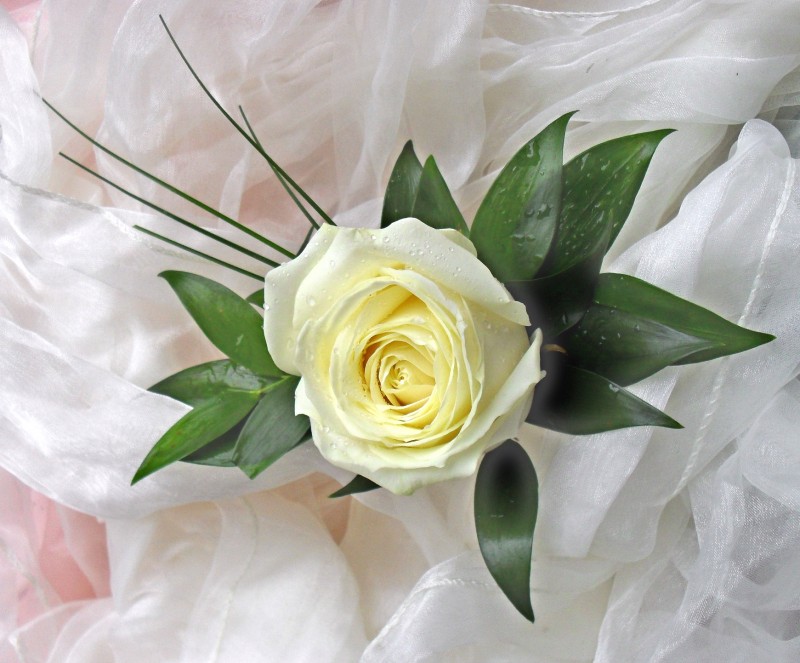2 x Rose Buttonholes