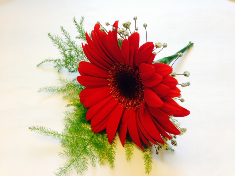 2 x Germini Buttonholes