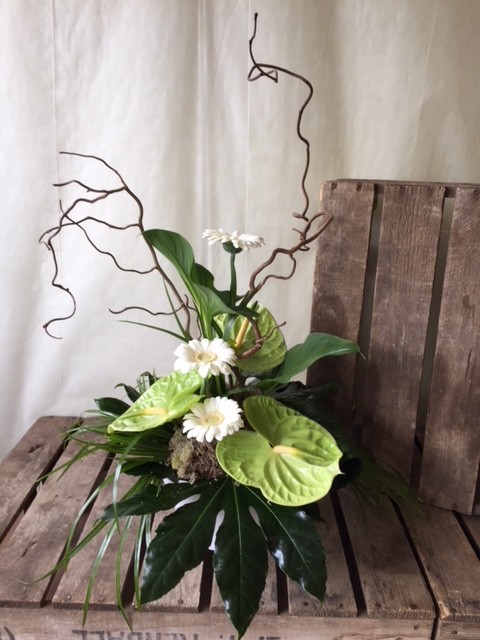 Contemporary Anthurium Arrangement