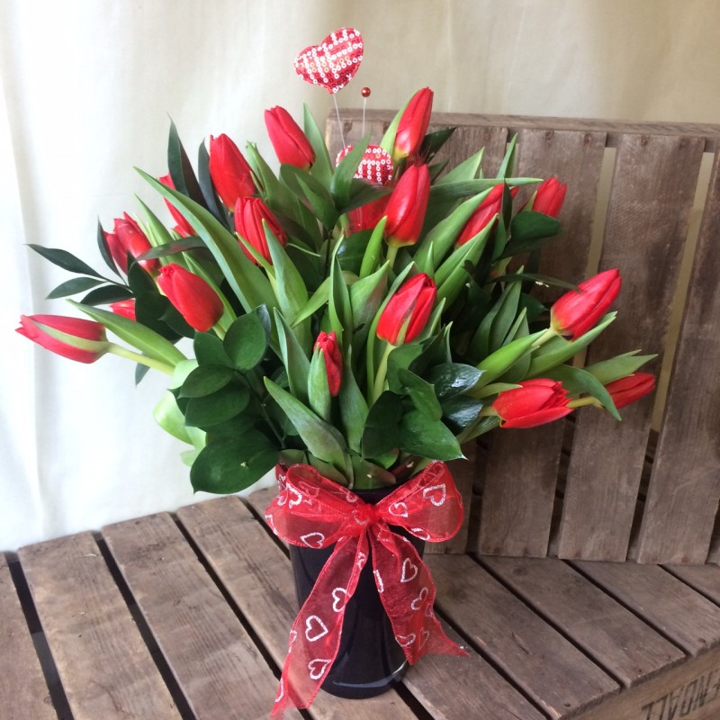 Tulip Treat
