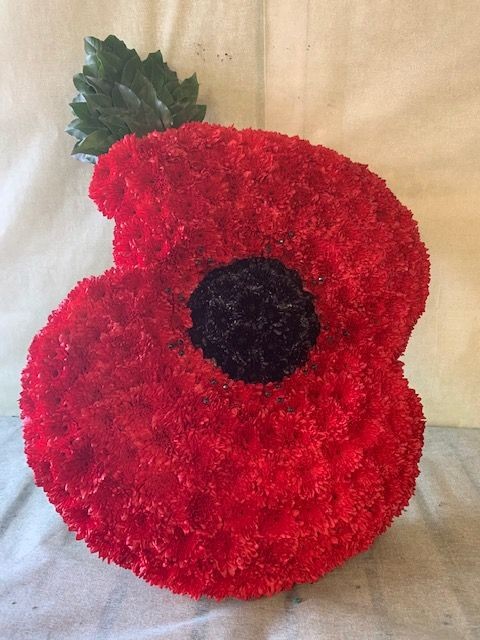 Poppy