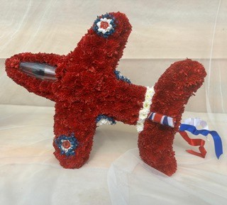 Red Arrow Plane