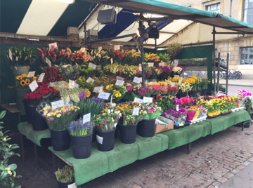 Market Stall